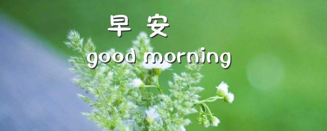 通用美好的早安朋友圈祝福语摘录 早安朋友圈祝福语