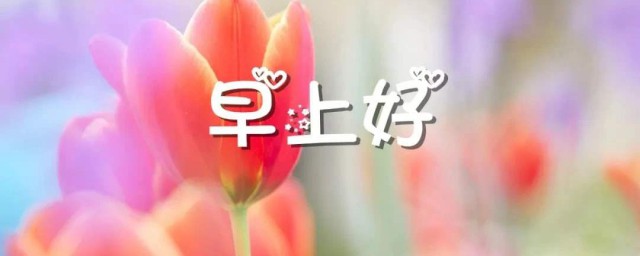 经典美好的早安QQ祝福语 常用的早安祝福语