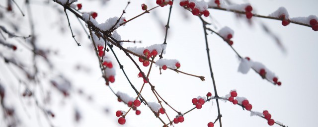 冬天的第一场雪朋友圈文案句子 关于冬天第一场雪的朋友圈文案