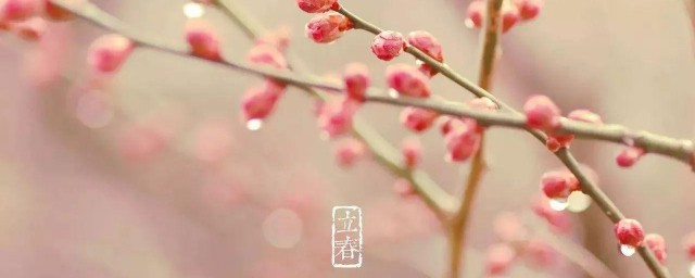 适合立春发的朋友圈 2023立春发朋友圈祝福语文案句子