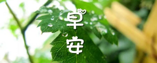 早上的问候语和关心的短句 关于早上的问候语和关心的短句