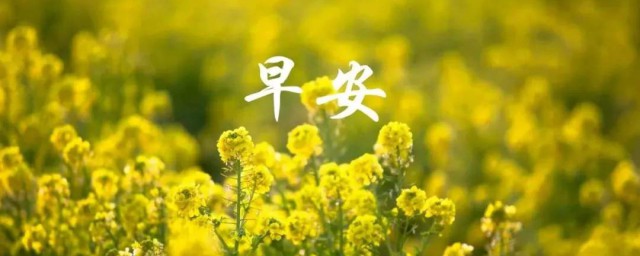 活泼可爱的早安说说 朋友圈调皮可爱的早安说说