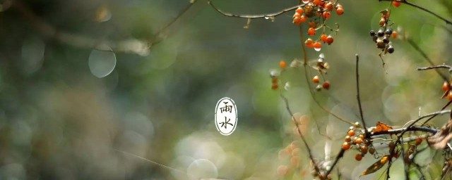 雨水节气祝福语 关于雨水节气的句子有哪些