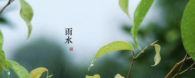 关于雨水节气的古诗词 雨水节气的古诗词有哪些
