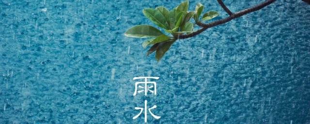 2023年节气雨水表示什么含义 2023年节气雨水含义介绍