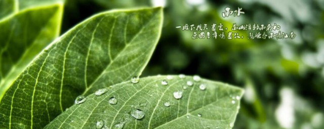 关于雨水节气谚语 描写雨水节气谚语
