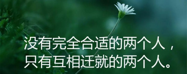 经典人生感悟 经典人生感悟如下