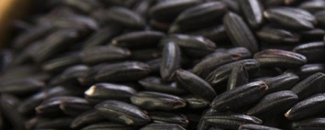 黑米的功效与作用吃法 黑米的功效与作用吃法简单介绍