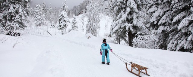 雪中经典语录短句 关于雪的经典句子