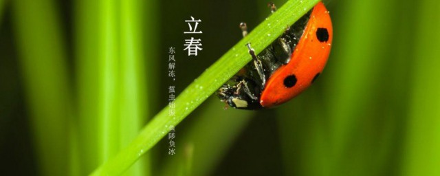 2023立春节气寄语简短一句话 2023立春祝福语