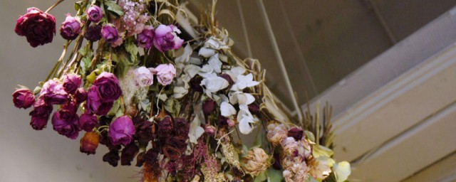 干花怎样保存不会掉 干花保存技巧