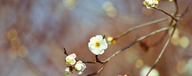 今日立春朋友圈祝福语 立春祝福语