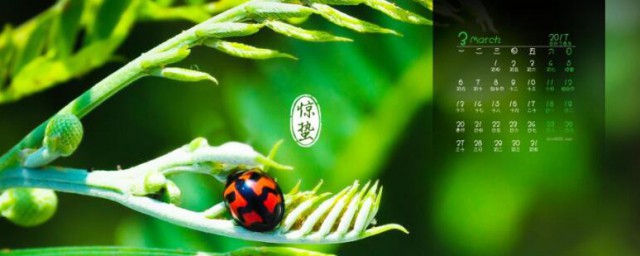 2021惊蛰是什么季节的节气 2021惊蛰代表哪个季节的节气