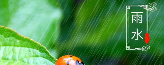 关于雨水节气的文案 有关雨水节气的句子有哪些