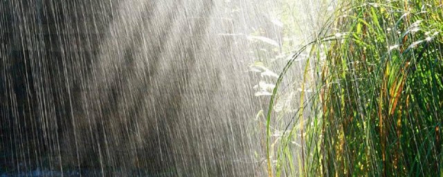 最新雨的俗语精选 最新雨的俗语