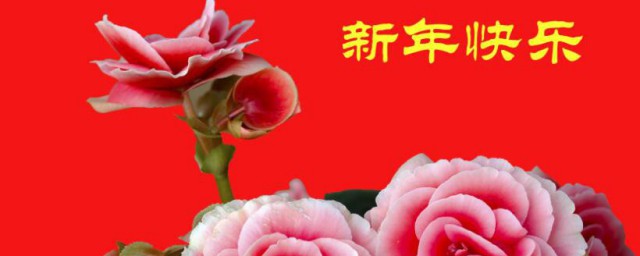 新年祝福老师的祝福 关于新年祝福老师的祝福语