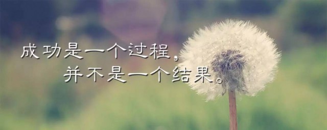今日正能量语录经典 正能量语录