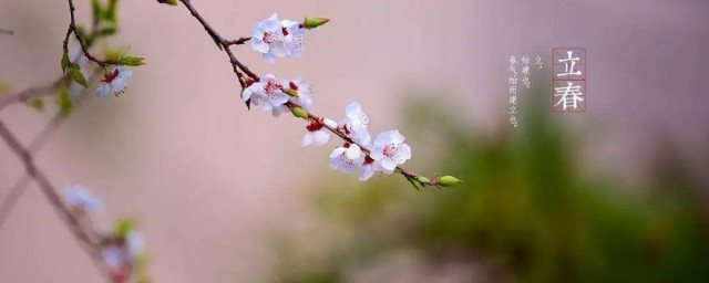 立春也称作什么 介绍立春也称作什么