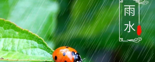 2021年雨水的具体时间 雨水节气简介