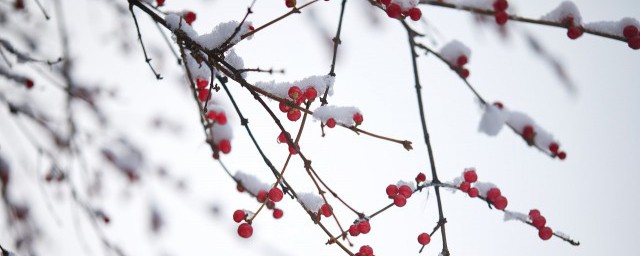 小雪人生感悟心情说说短语 有关小雪的感悟优秀说说