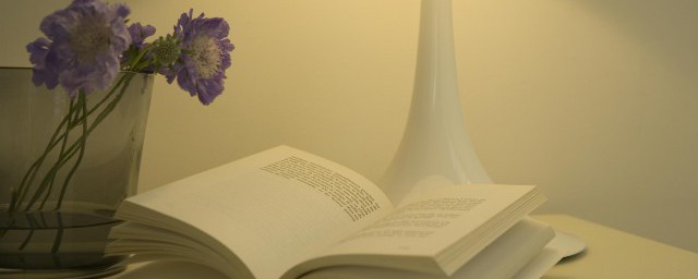 关于梦想的句子摘抄 梦想的优美语句摘抄