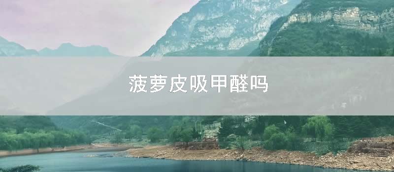 菠萝皮吸甲醛吗