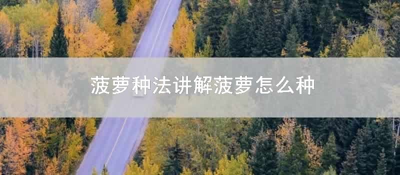 菠萝种法讲解 菠萝怎么种