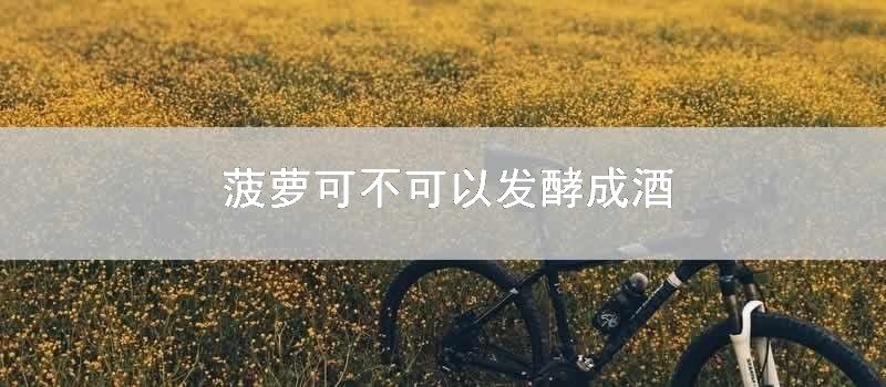 菠萝可不可以发酵成酒