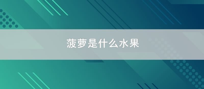 菠萝是什么水果