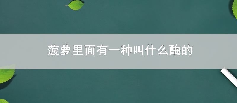 菠萝里面有一种叫什么酶的