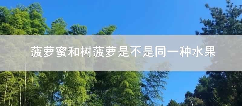 菠萝蜜和树菠萝是不是同一种水果