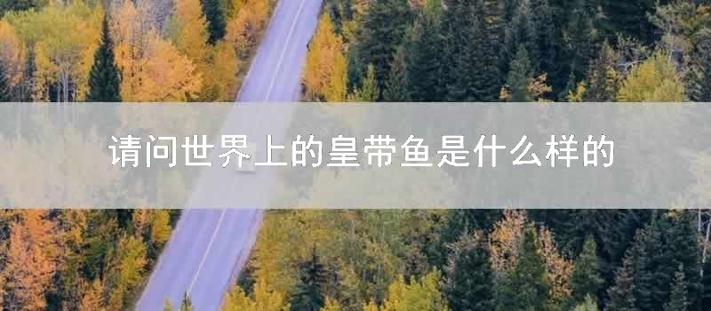 请问世界上的皇带鱼是什么样的