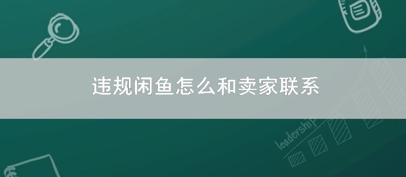 违规闲鱼怎样和卖家联系