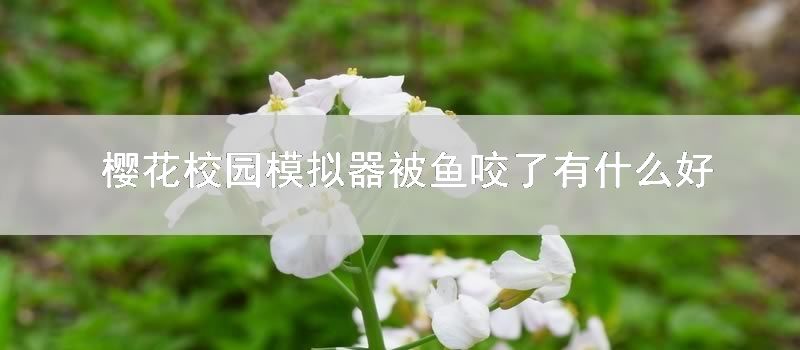 樱花校园模拟器被鱼咬了有什么好办法