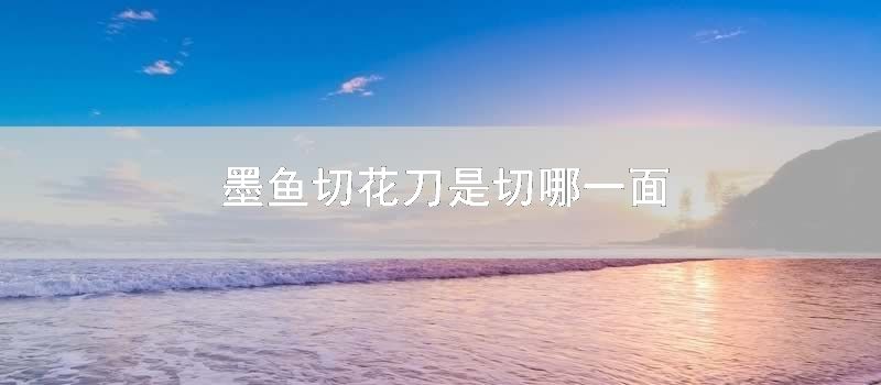 墨鱼切花刀是切哪一面