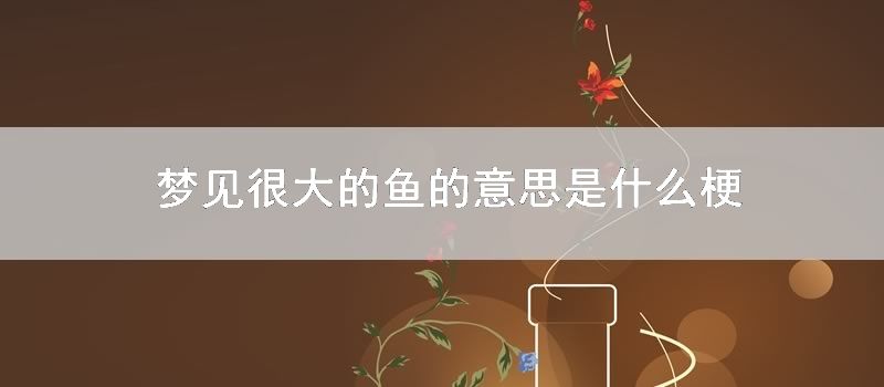 梦见很大的鱼的意思是什么梗