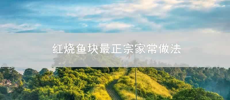 红烧鱼块最正宗家常做法