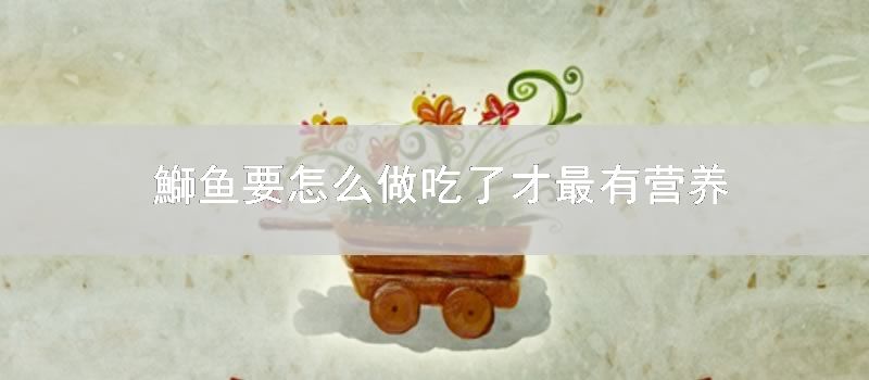 鰤鱼要如何做吃了才最有营养