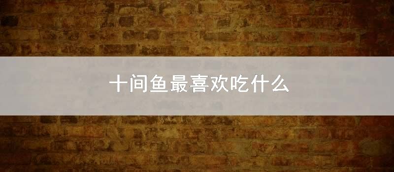 十间鱼最喜欢吃什么