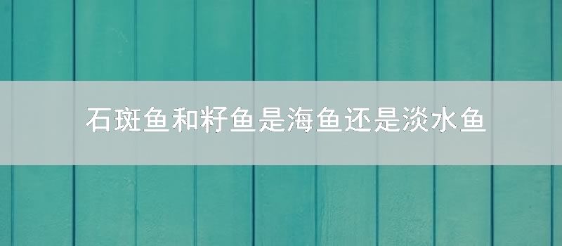 石斑鱼和籽鱼是海鱼还是淡水鱼