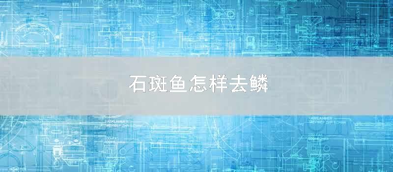 石斑鱼怎么去鳞