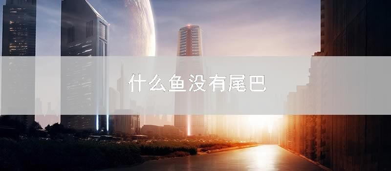什么鱼没有尾巴