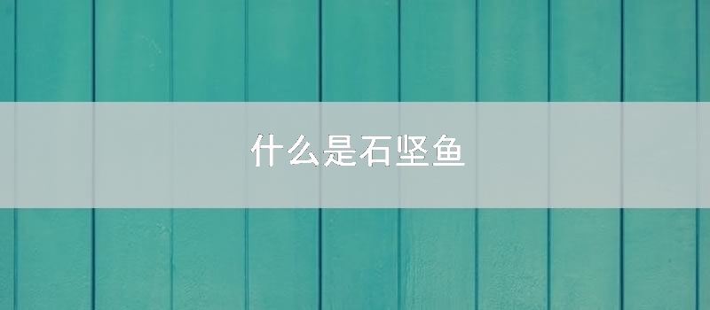 什么是石坚鱼