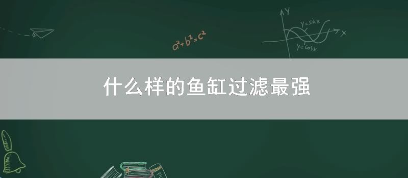 什么样的鱼缸过滤最强