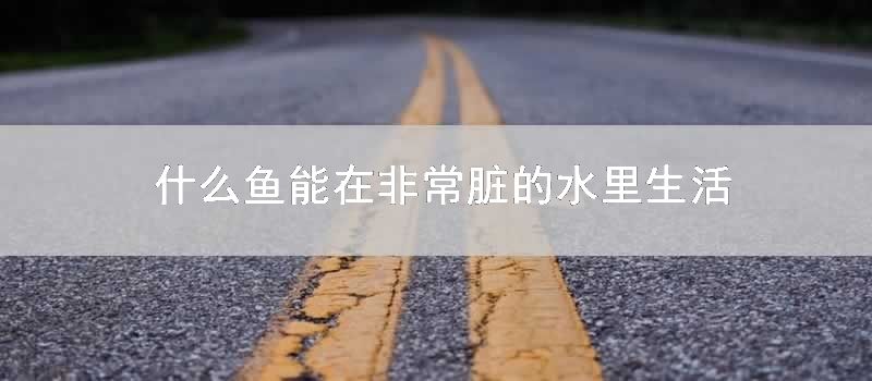 什么鱼能在非常脏的水里生活