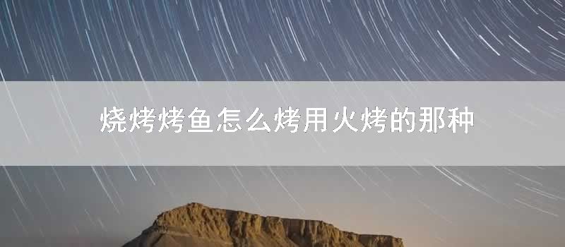 烧烤烤鱼怎么烤用火烤的那种