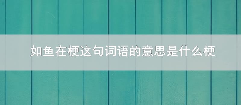 如鱼在梗这句词语的意思是什么梗