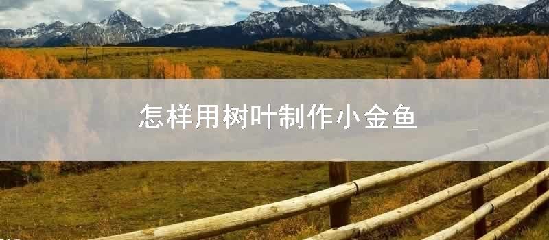如何用树叶制作小金鱼