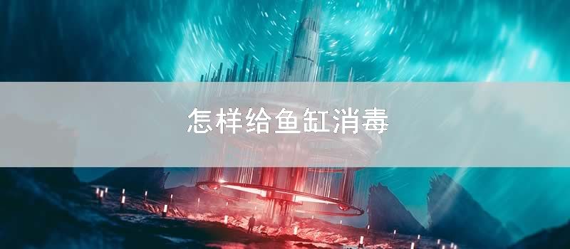 如何给鱼缸消毒