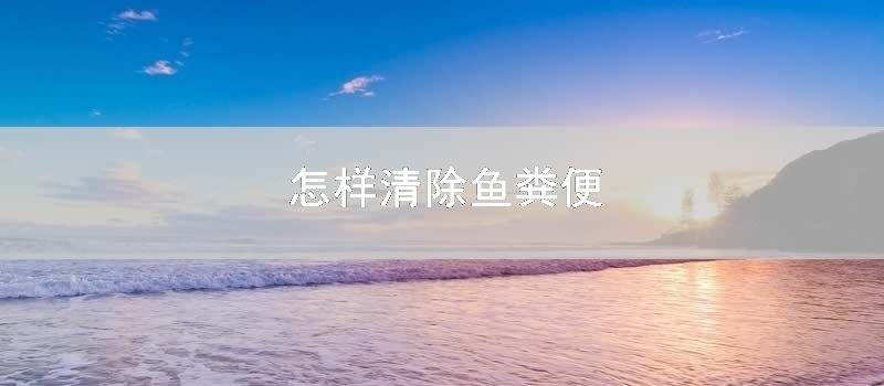 如何清除鱼粪便